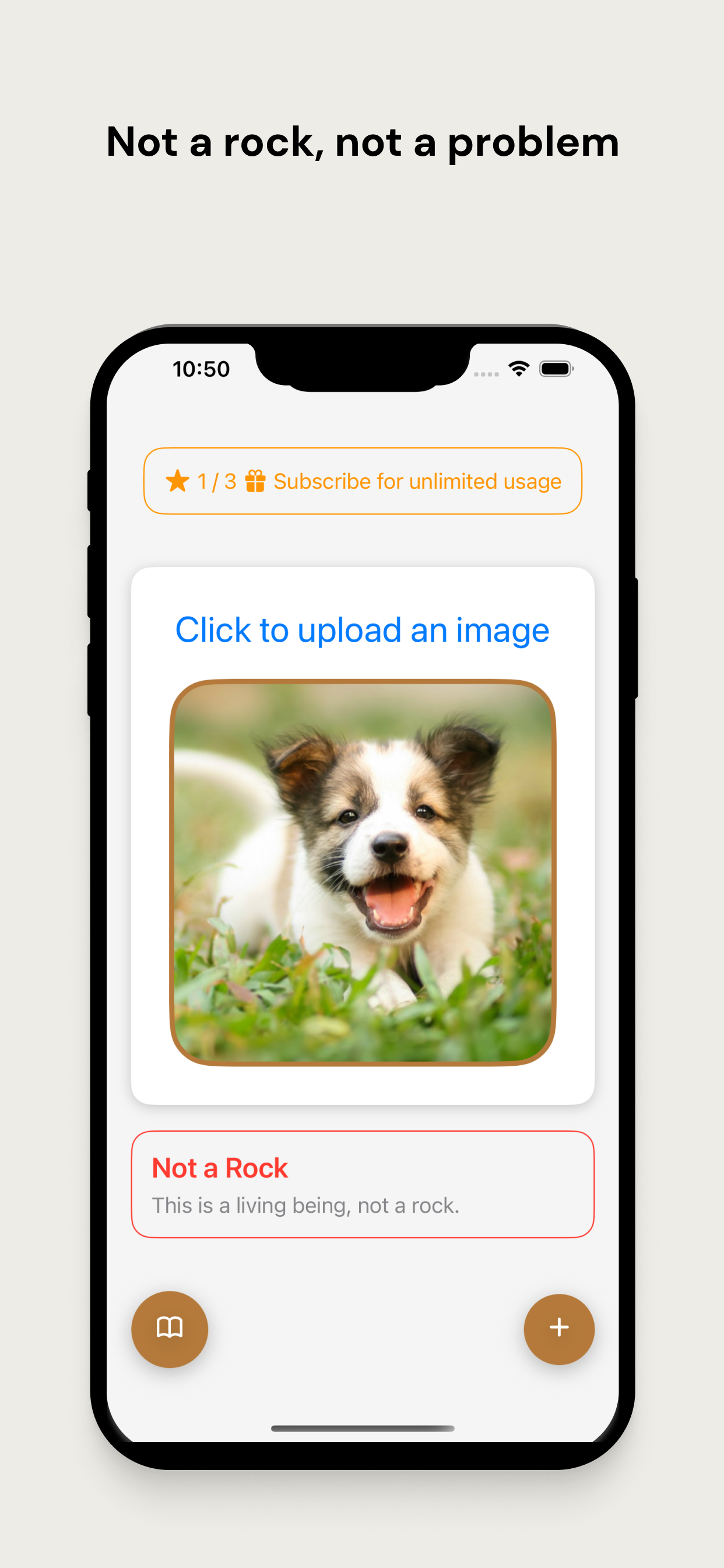 Rock Identifier App Screenshot 3